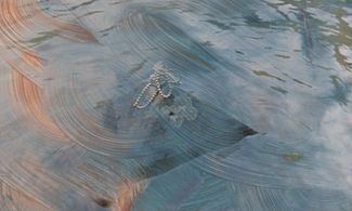 Gli allotropi di Jessica Warboys a Casa Masaccio