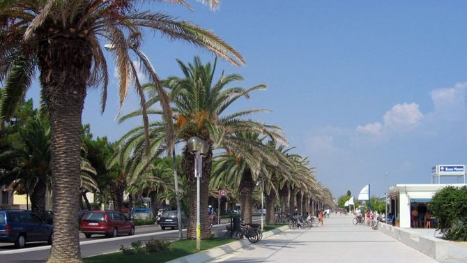 Petruziano delle colline teramane foto