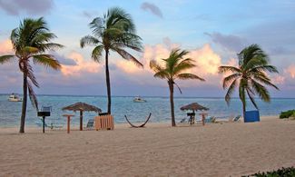 Isole Cayman, paradiso fiscale e di biodiversità