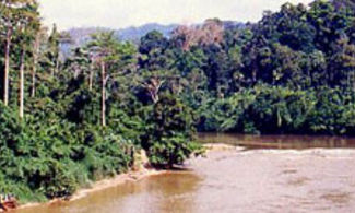 Malesia
