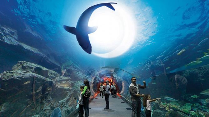 dubai acquario