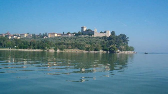 Olio Umbria DOP
