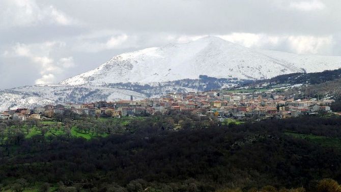 Olio Dop Sardegna