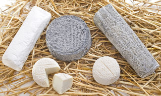 A Montefeltro il formaggio più  fico  