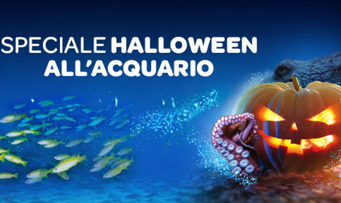 genova acquario halloween zucca mare polipo