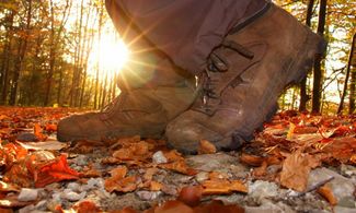 Trekking tra le Dolomiti Friulane