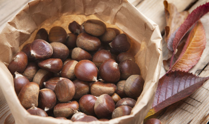 frutti del castagno, castagne, marroni<br>