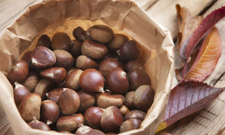 Castagne, il tesoro del Monte Amiata