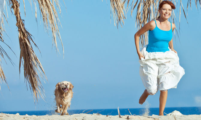 Cane che corre sulla spiaggia