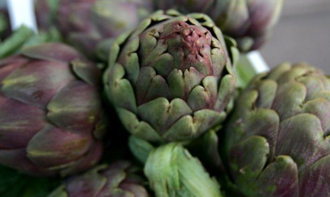 Carciofi, ortaggi, verdura