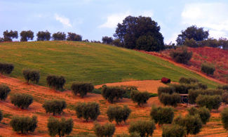 Abruzzo, il gusto delle Colline Teatine