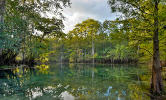 Florida, un antico villaggio di conchiglie 