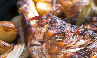 agnello 