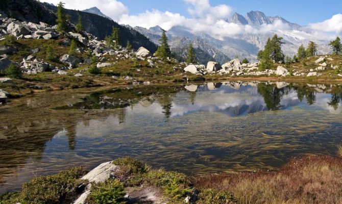 Gran Paradiso