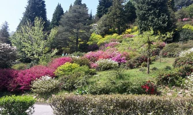 parco san grato svizzera natura