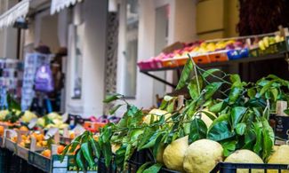 limoni,limone,sorrento,campania,