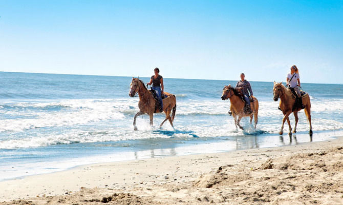 Passeggiata in spiaggia a cavallo