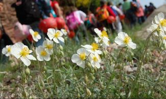 Val di Non, estate tra natura e arte