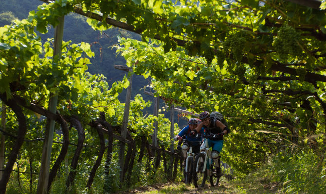 Mountain bike in Franciacorta