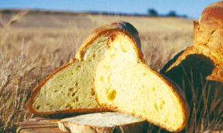 5 ricette a base di pane
