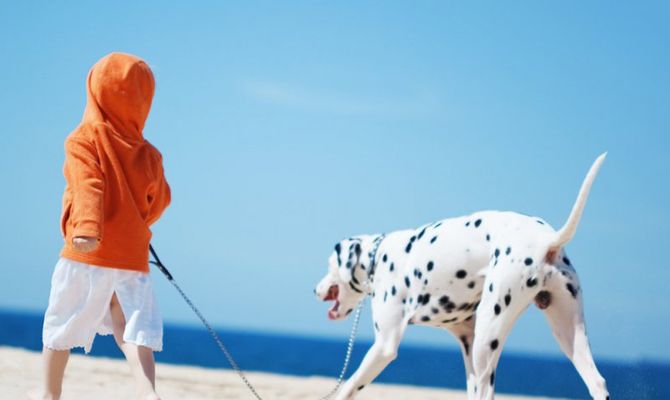 spiagge per cani