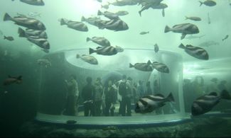 Su il sipario sull'Expo 2012 di Yeosu