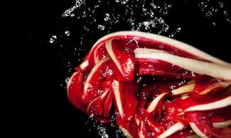 radicchio rosso, ortaggio