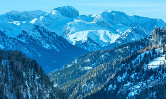 Anfibi e rettili delle Dolomiti Bellunesi in un Atlante