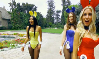 Conigliette Playboy