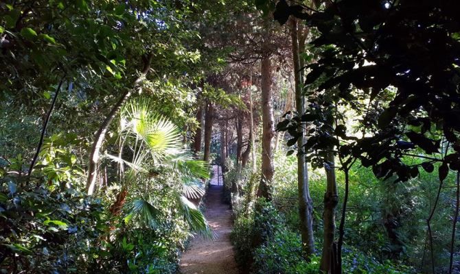 parco giardino dei ligustri 