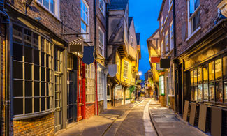 Yorkshire, in Inghilterra spunta un antico dragone