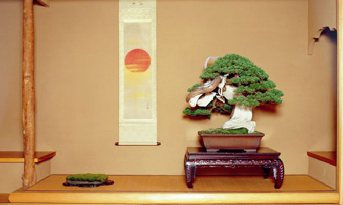 Bonsai