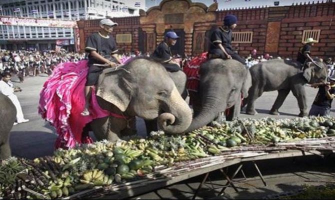 Sfilata di elefanti a Pattaya