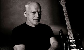 David Gilmour