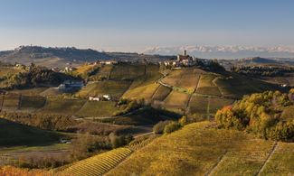 Tuma delle Langhe, il formaggio come una volta 