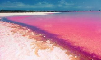 Video: le 10 spiagge rosa più incredibili del mondo (1 in Italia)