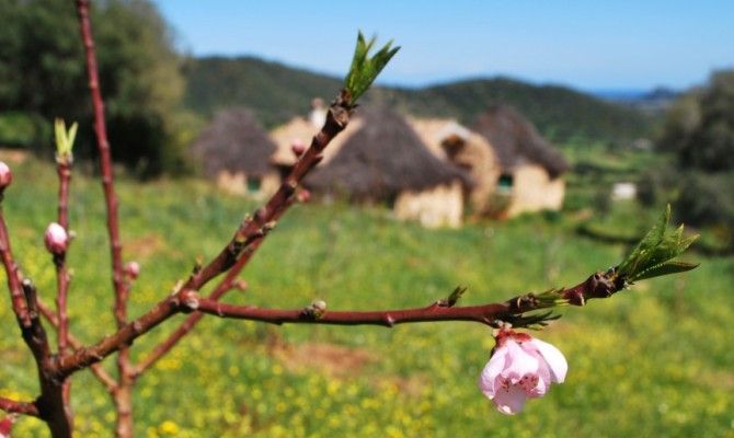 struttura a Cuccu Ezzu, Sardegna