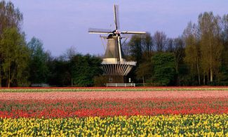 Olanda