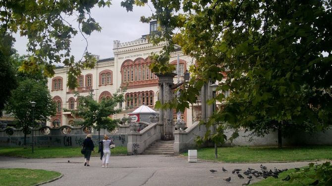 Universit&amp;#224; di Belgrado
