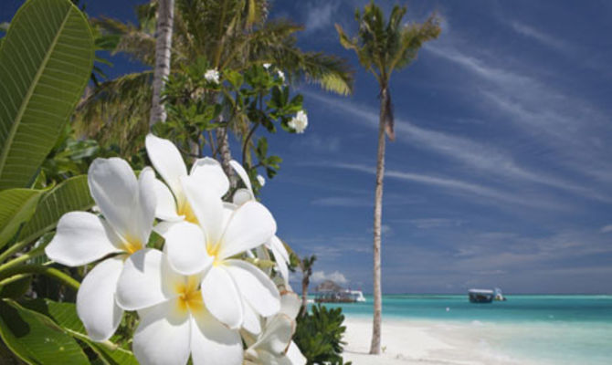 Spiaggia delle Maldive