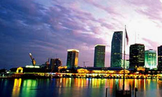 Miami by night
