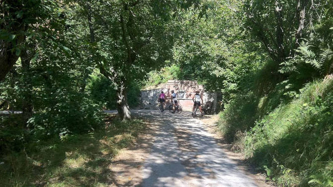 Passeggiata in bici tra i boschi