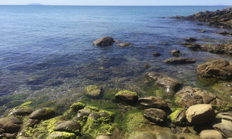 Isola di Montecristo