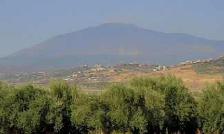 Olio Monte Etna DOP