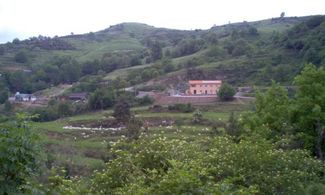 Liguria: Paradiso di Stella, gusto nel verde vista mare