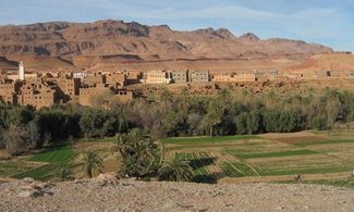 Marocco tra kasbah, oasi e datteri