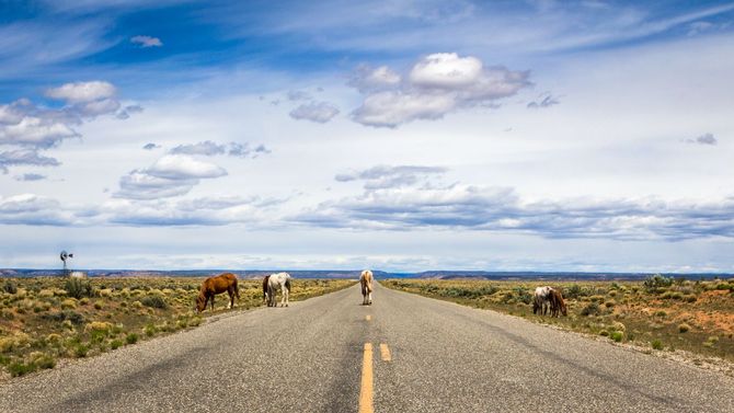 Trail of the Ancients Scenic Byway