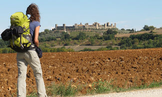 Colle Monteriggioni<br>