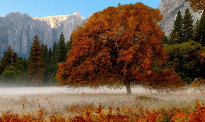 Montagna in autunno