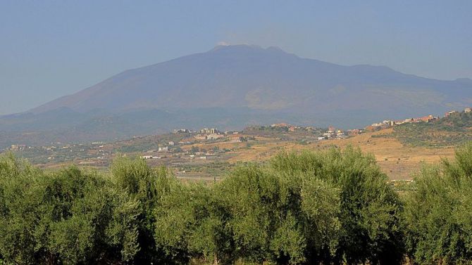 Olio Monte Etna DOP